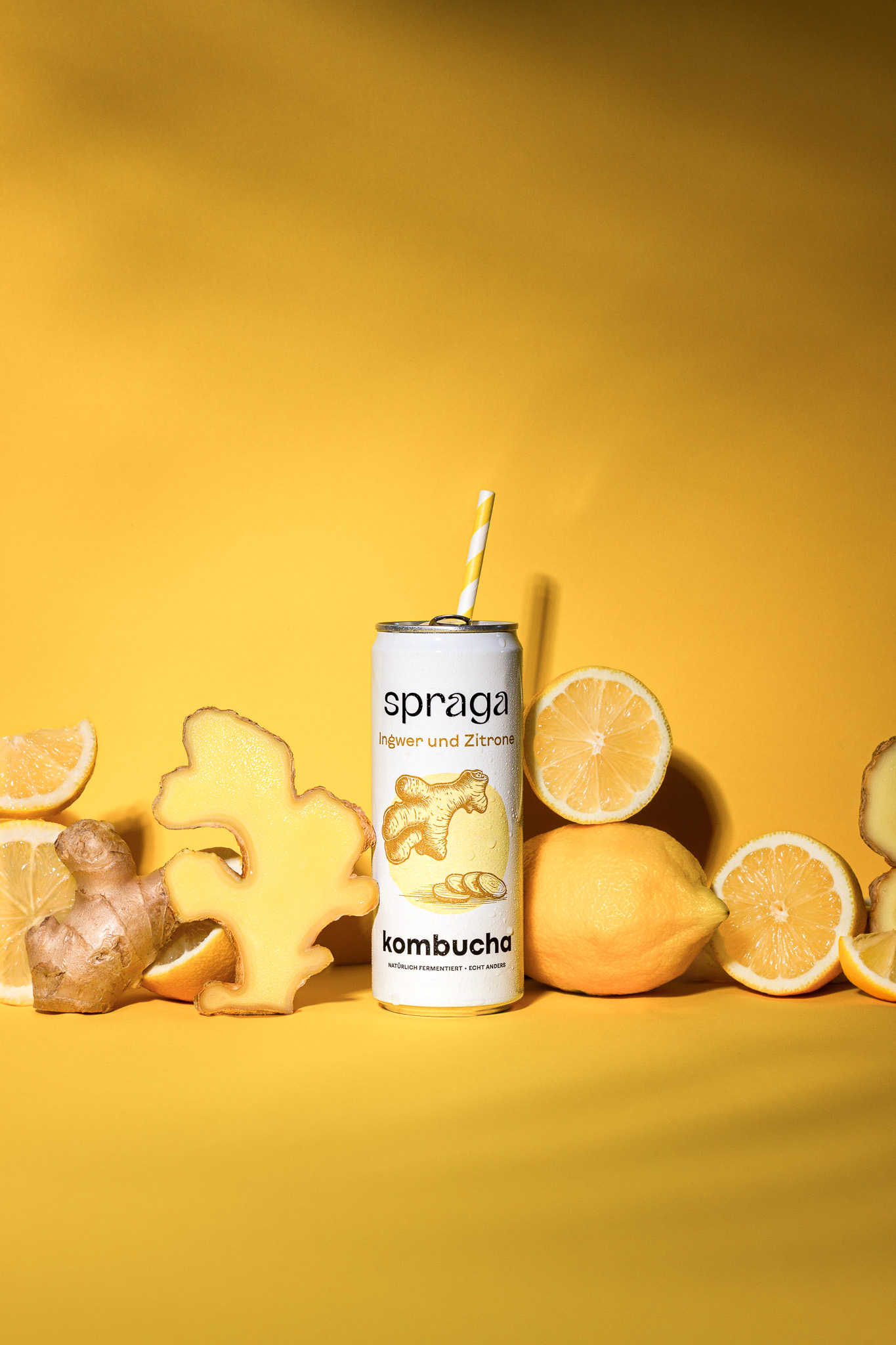 Spraga: Kombucha Ingwer-Zitrone Capturing Plants by Lynn Glaesner